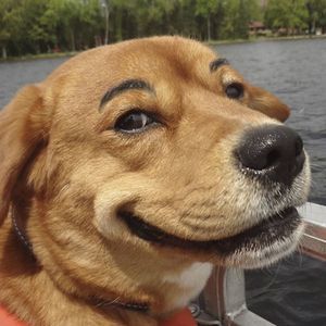 Meet your Posher, Chelsea